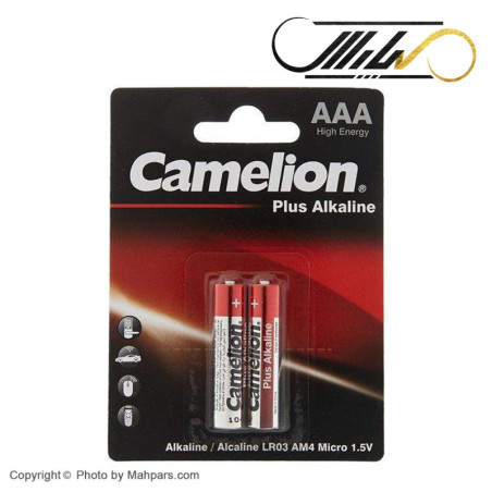 باتری نیم قلم دوتایی مدل کملیون